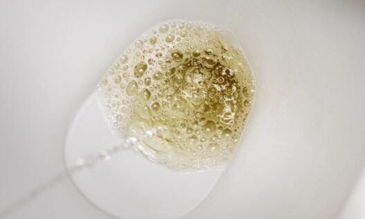 거품이 섞인 노란빛 소변이 변기 안으로 내려가는 모습으로, 몸이 붓거나 수분 정체가 있을 때 소변 상태가 달라질 수 있는 상황을 표현한 이미지.